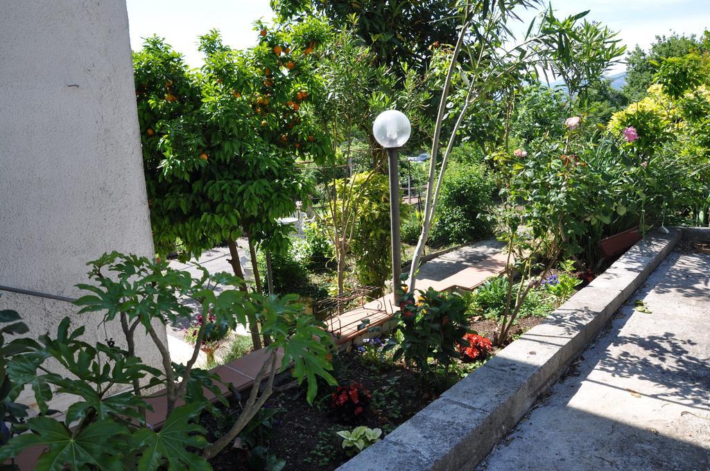 B&B La Palombara Giuliano di Roma Exterior foto